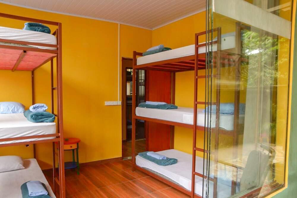 Hostel Mpb Ilha Grande מראה חיצוני תמונה